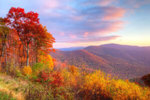 Fall Colors in the Great Smoky Mountains