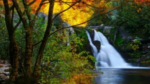 Smoky Mountains National Park