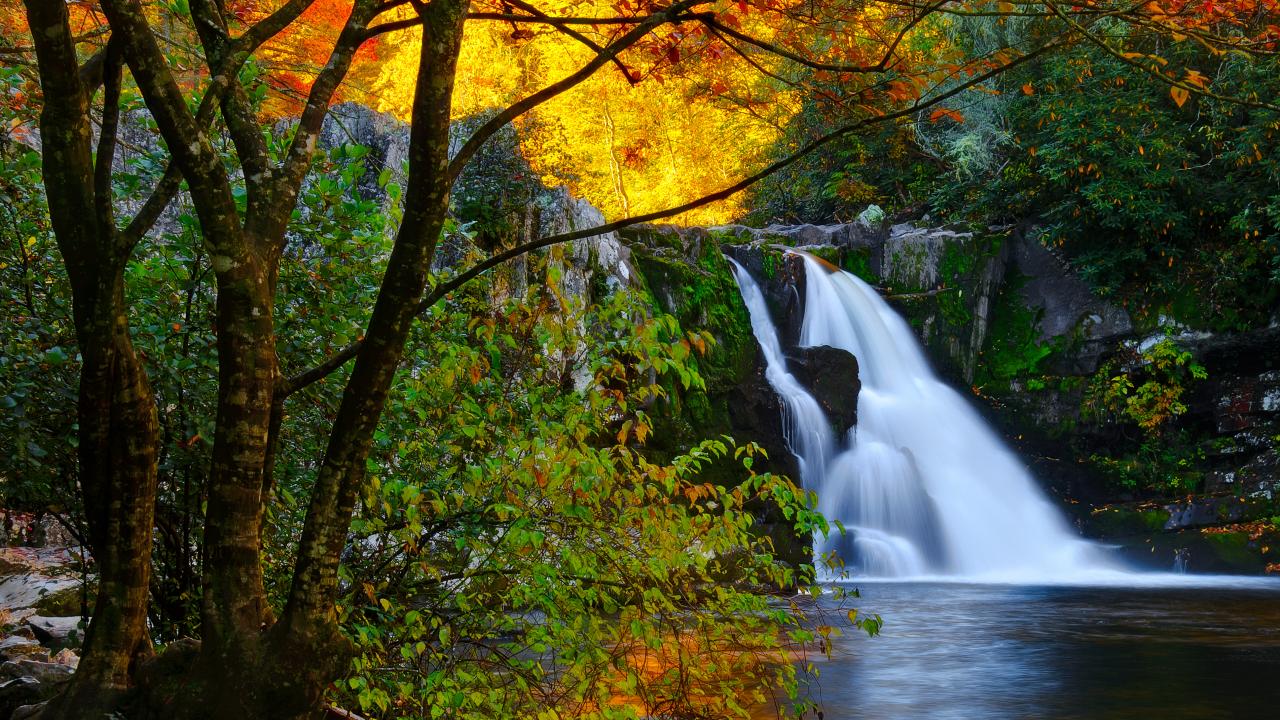 Smoky Mountains National Park